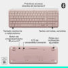 k250ROSA4